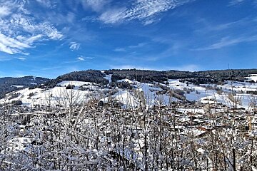 Snowy alpine village nestled in forested mountains under a bright blue sky, seen through snow-covered winter branches.