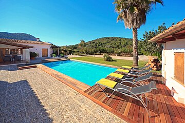 A large swimming pool is surrounded by chairs and a palm tree