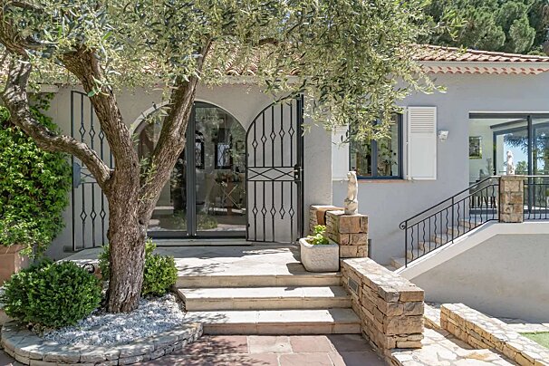 A tree in front of a house with stairs leading up to it