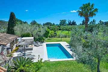 A large swimming pool is surrounded by lush greenery