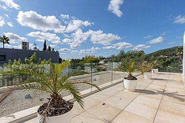 Rooftop terrace with potted palms, glass railing, distant hills, and a clear blue sky with fluffy clouds.