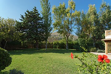 A lush green lawn with trees and bushes in the background