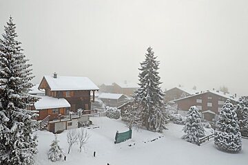A snowy landscape with a few houses and trees including one that says 1313