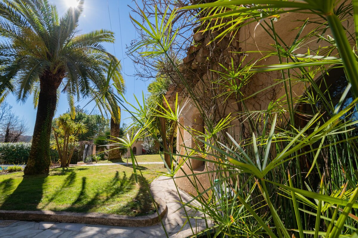 The sun is shining through the palm trees in the backyard