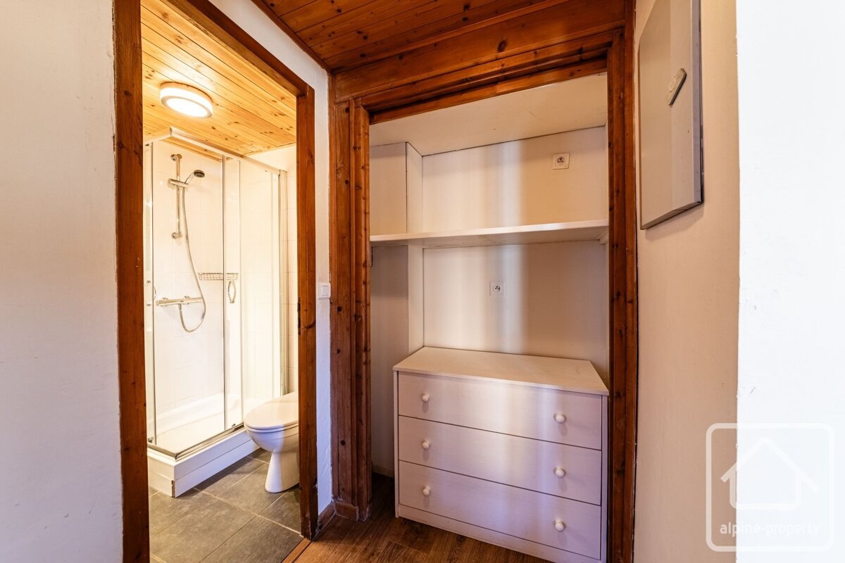 A doorway reveals a bathroom with a shower and toilet, adjacent to an open closet featuring shelves and a three-drawer dresser.