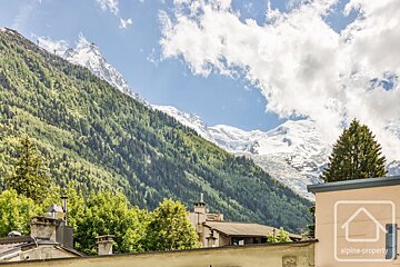 A building with the word alpine property on it