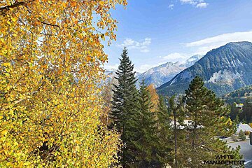 A white management photo of a mountain landscape