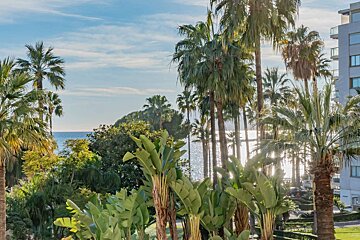 Bright, sunny coastal scene with abundant palm trees, lush greenery, and the sparkling ocean. A white building is partly visible on the right.