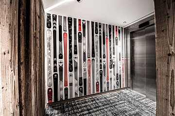 A row of skis on a wall with one that says ' salomon ' on it