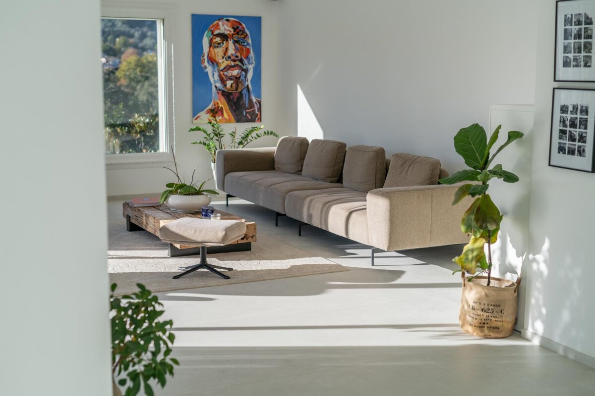 A living room with a couch a coffee table and a plant