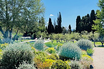 A lush green garden with a swimming pool in the background