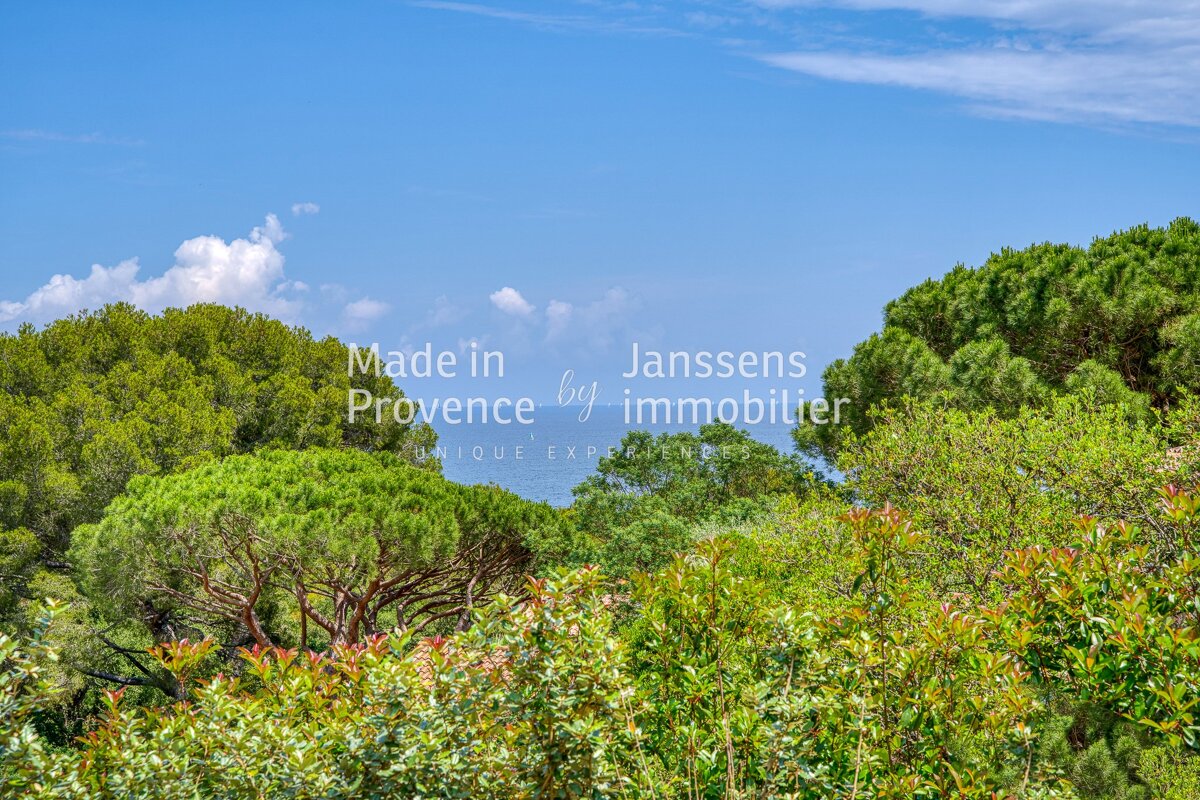 A picture of a forest with the words made in provence by immobilier