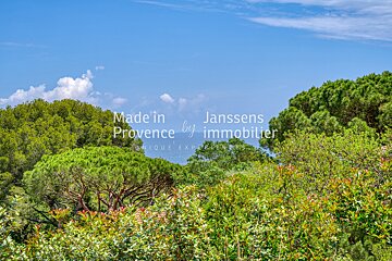 A picture of a forest with the words made in provence by immobilier
