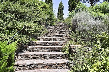 A set of stone stairs leading up to a lush green hillside