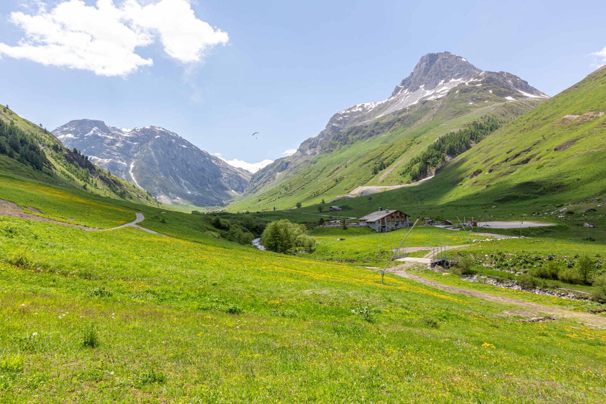 A verdant mountain valley with snow-capped peaks, a rustic house by a stream, and a paraglider soaring under a clear sky.