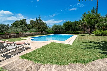 A sunny backyard oasis featuring a blue swimming pool, lounge chairs, green lawn, and lush trees under a bright blue sky.