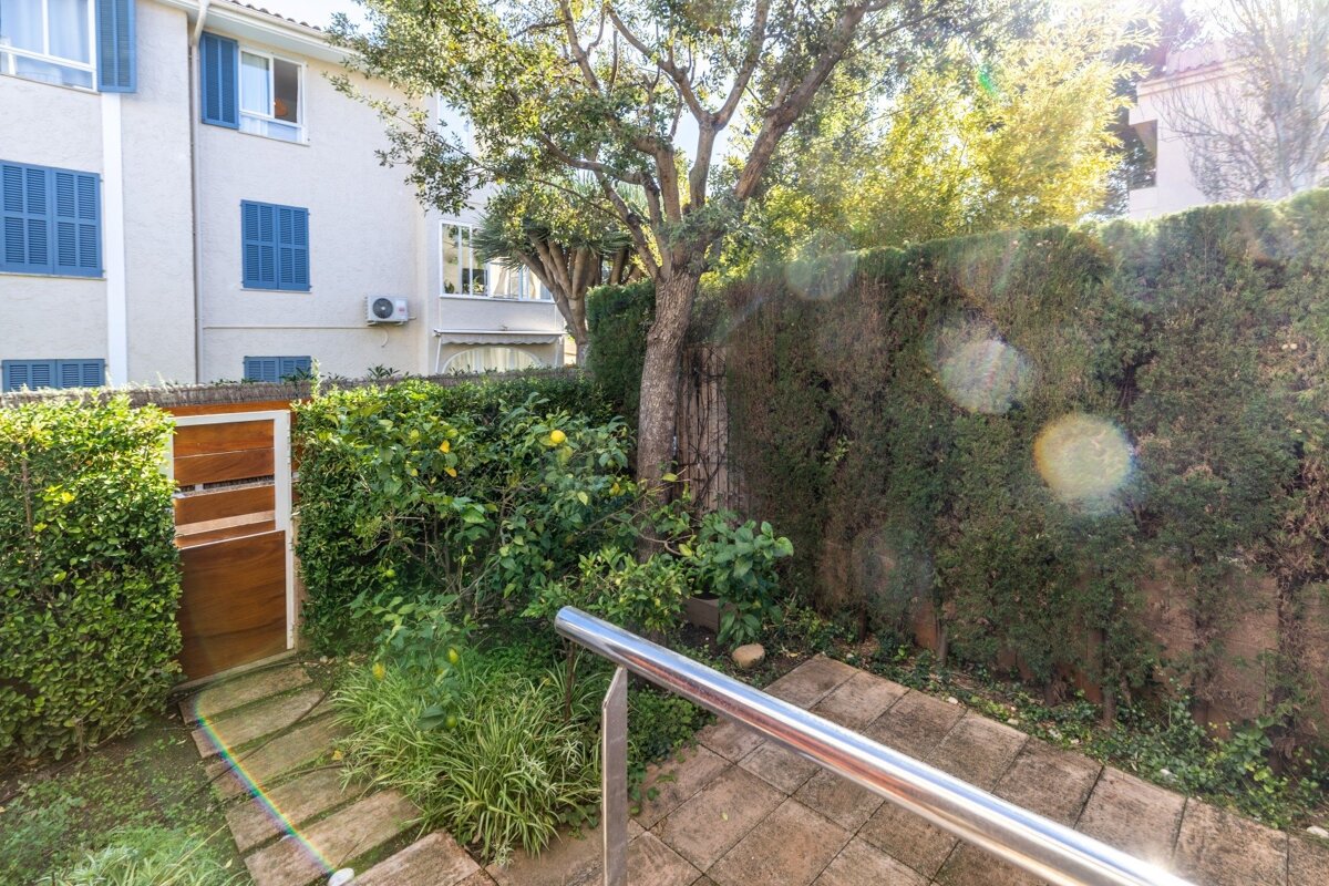 Lush, sunny garden featuring a lemon tree, wooden gate in a hedge, paved steps with a railing, and a white building with blue shutters.