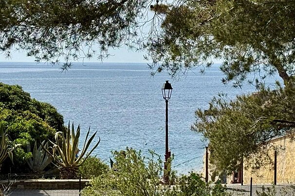 Serene coastal view framed by lush green foliage and pine branches, with a classic lamppost overlooking the calm blue sea.