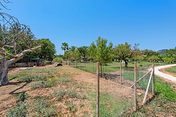 A sunny field with a fence, dry ground on the left with animal shelters, and green grass and trees on the right with a gravel path.