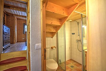 A bathroom with a toilet and shower under a wooden staircase
