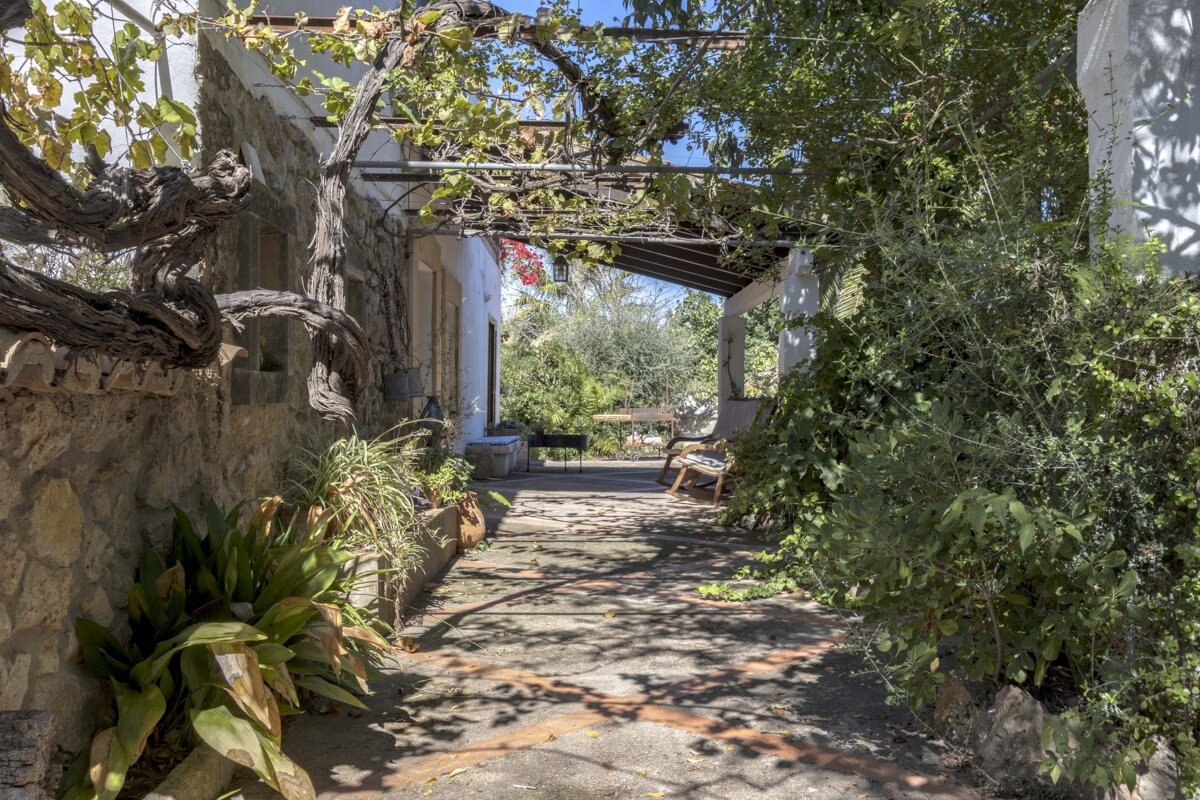 A sun-dappled pathway shaded by an overhead vine-covered pergola, flanked by a stone wall and lush greenery, leads to a rustic outdoor patio.
