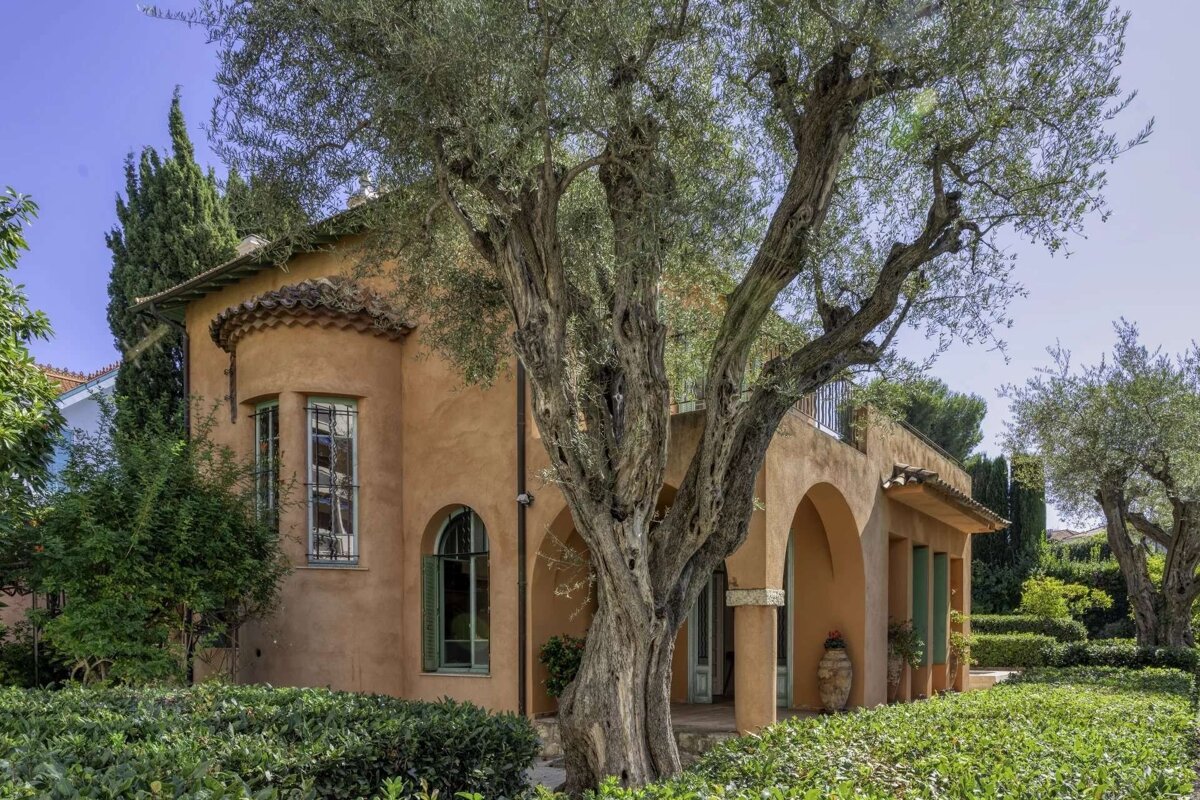 A terracotta Mediterranean villa with green shutters and arched details, partially obscured by a large, gnarled olive tree in a lush garden.