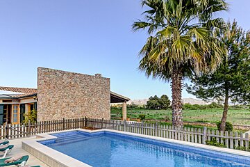 A large swimming pool is surrounded by a fence and palm trees