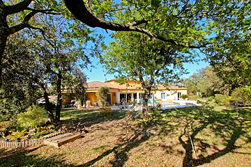 A house is surrounded by trees and a fence