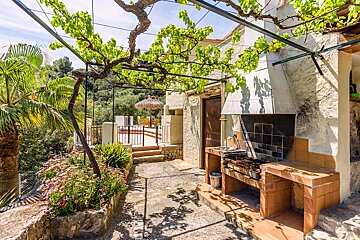 A patio area with a bbq and a palm tree