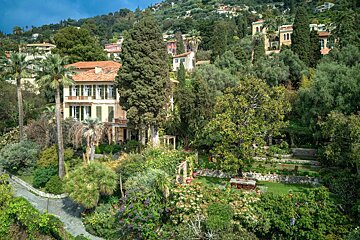 A large house sits in the middle of a lush green forest