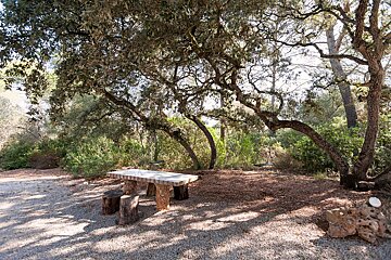 A wooden picnic table in the middle of a forest