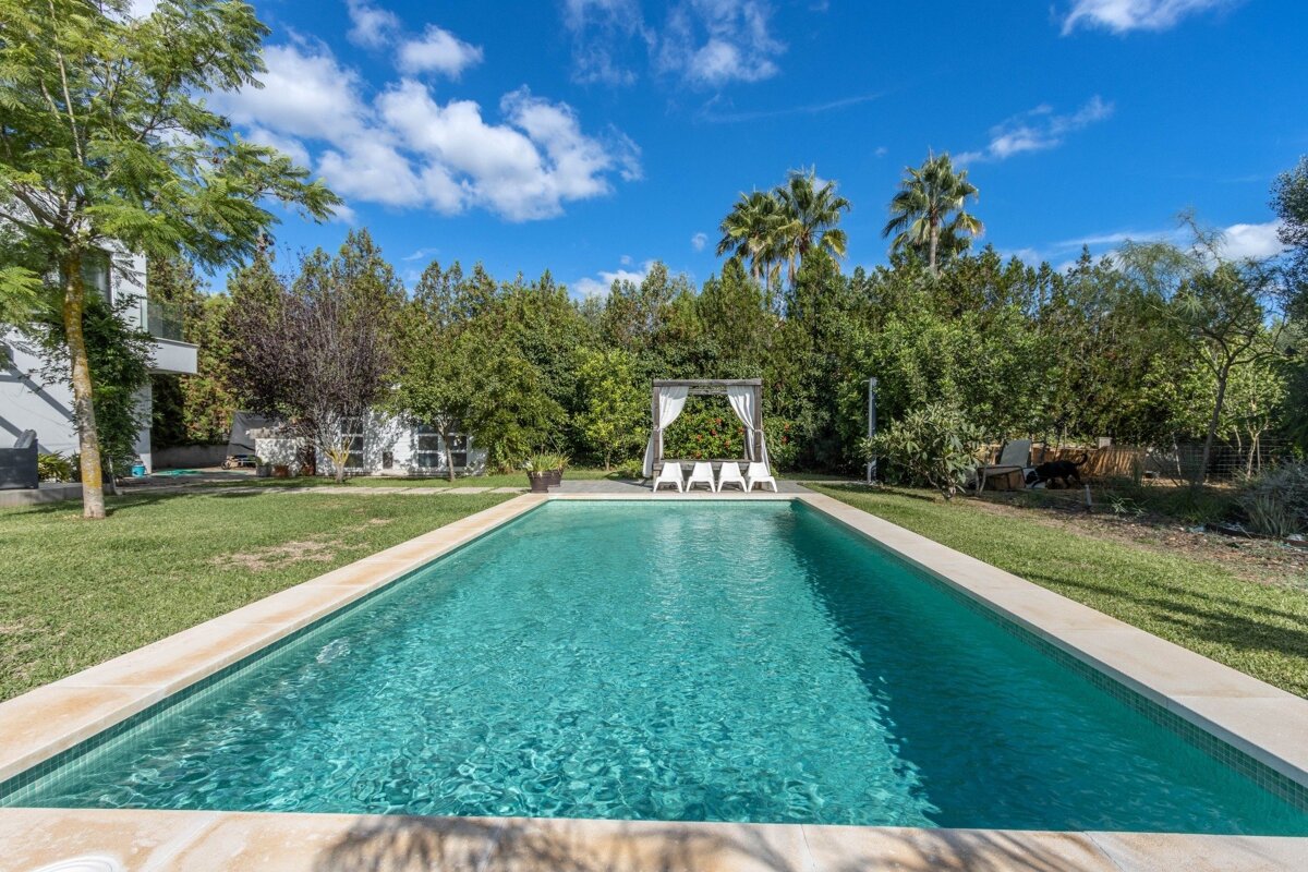 Sunny outdoor pool in a lush green garden with a white cabana, palm trees, and a modern building under a bright blue sky.