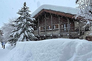 A snowy house with a tree in front of it