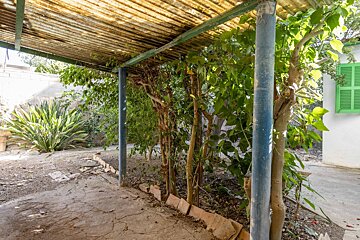 A covered area with trees and a window with green shutters