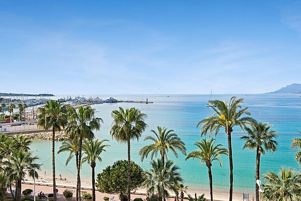 Lush palm trees line a sandy beach beside clear turquoise water, with a marina full of yachts in the background under a sunny blue sky.