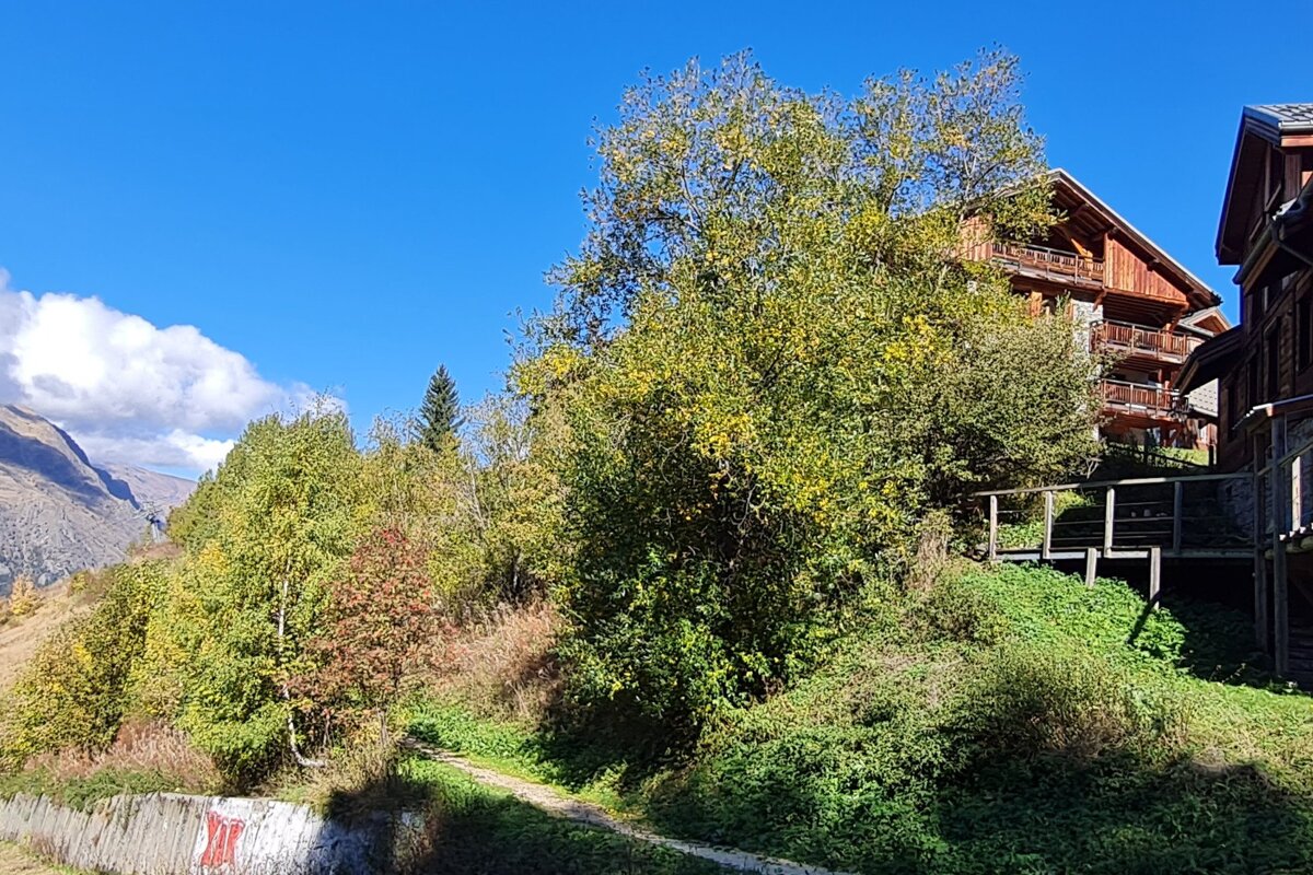 A large wooden building is surrounded by trees and mountains