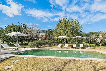 Sunny outdoor pool with loungers and umbrellas, surrounded by green trees and grass, under a blue sky with clouds.