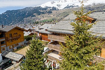 An aerial view of a ski resort with a tree in the foreground