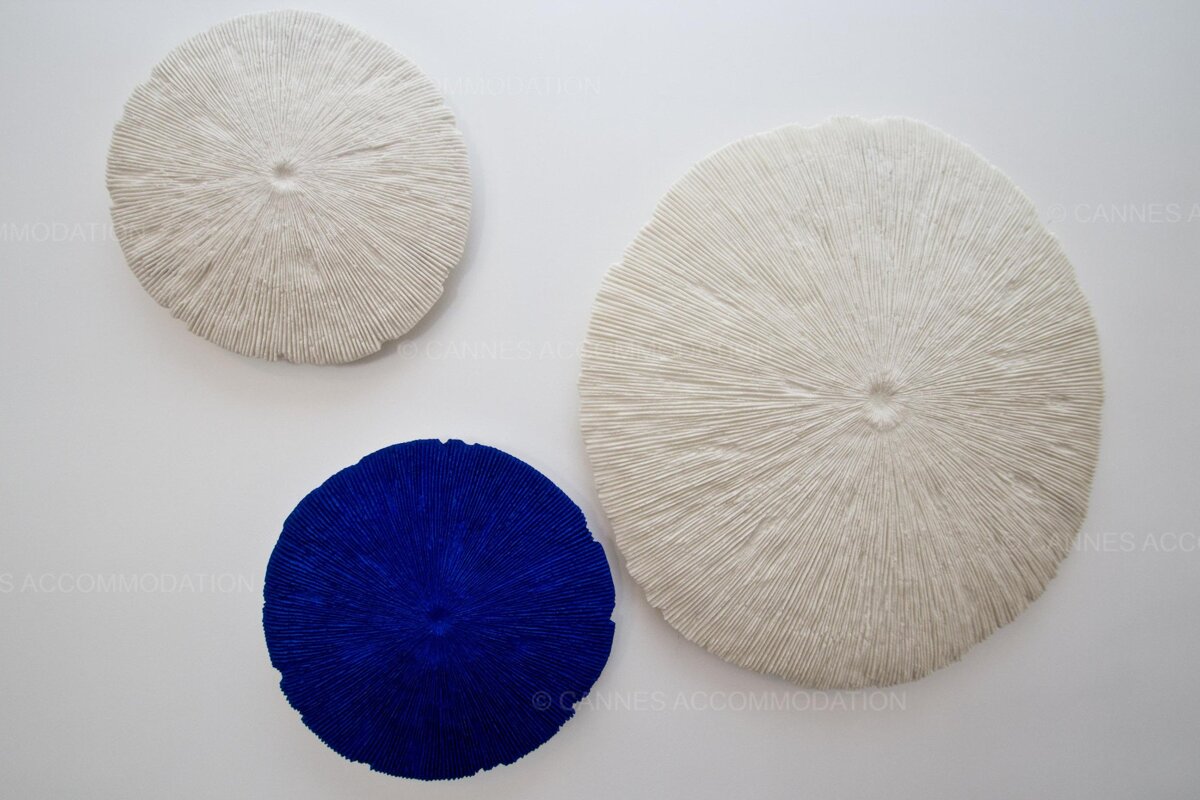 Three white circles and a blue circle on a white wall