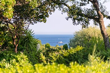 A boat in the ocean is visible through the trees