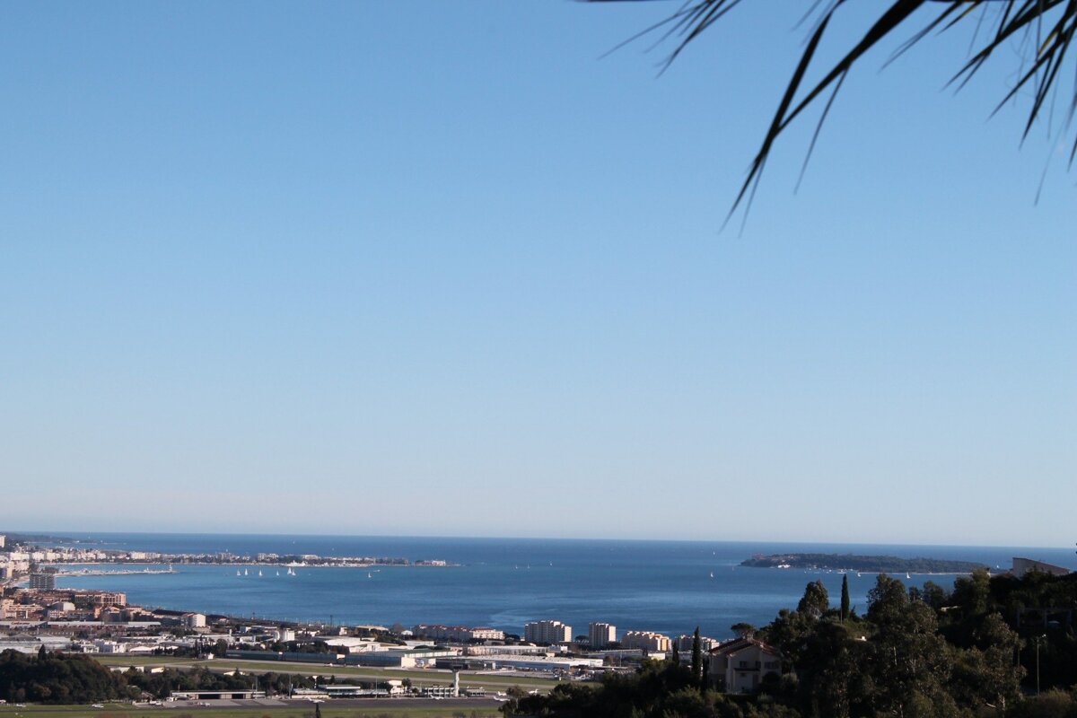 A large body of water with a city in the distance
