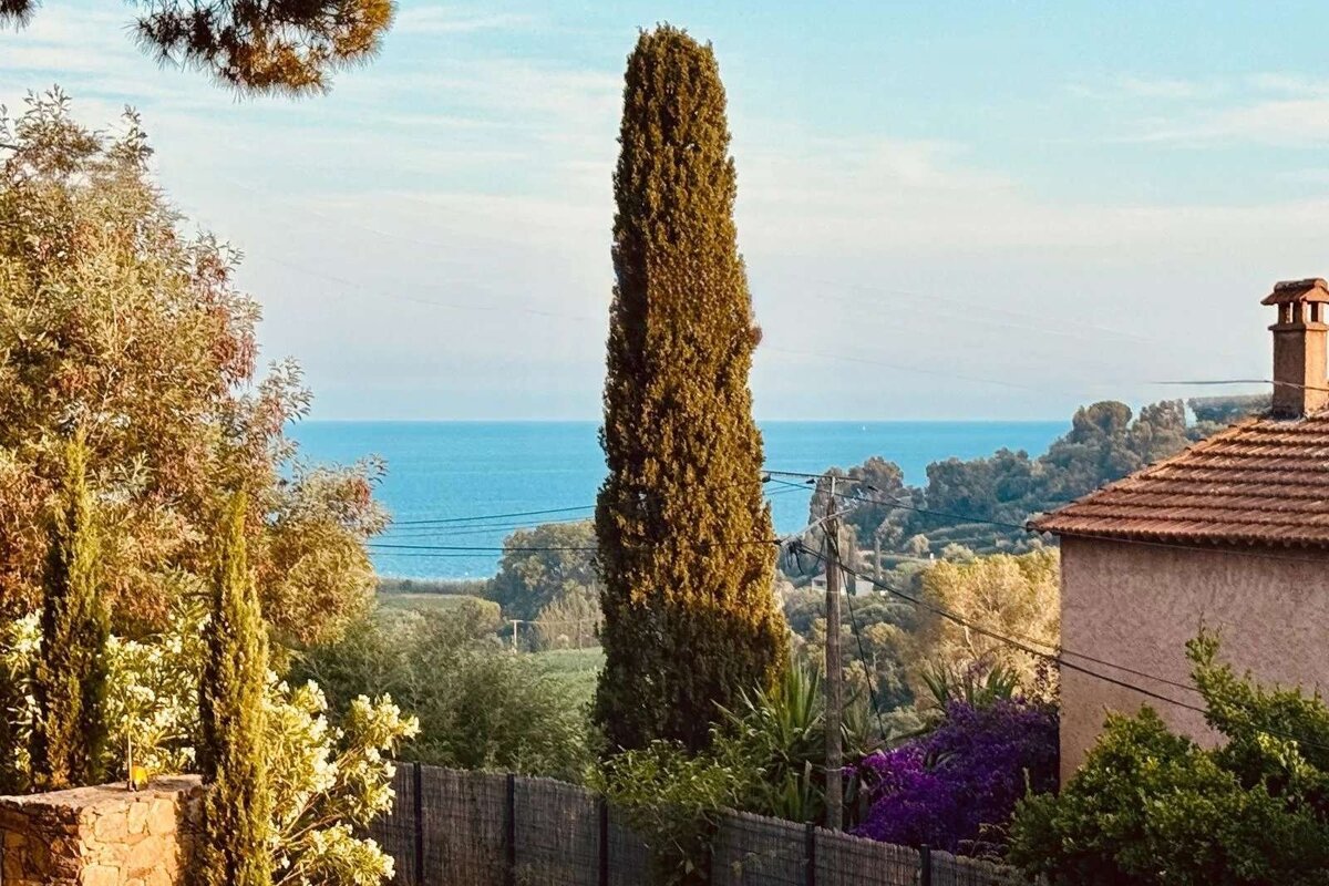 A Mediterranean view featuring a tall cypress tree, a house with a tiled roof, and the sparkling blue sea under a bright sky.