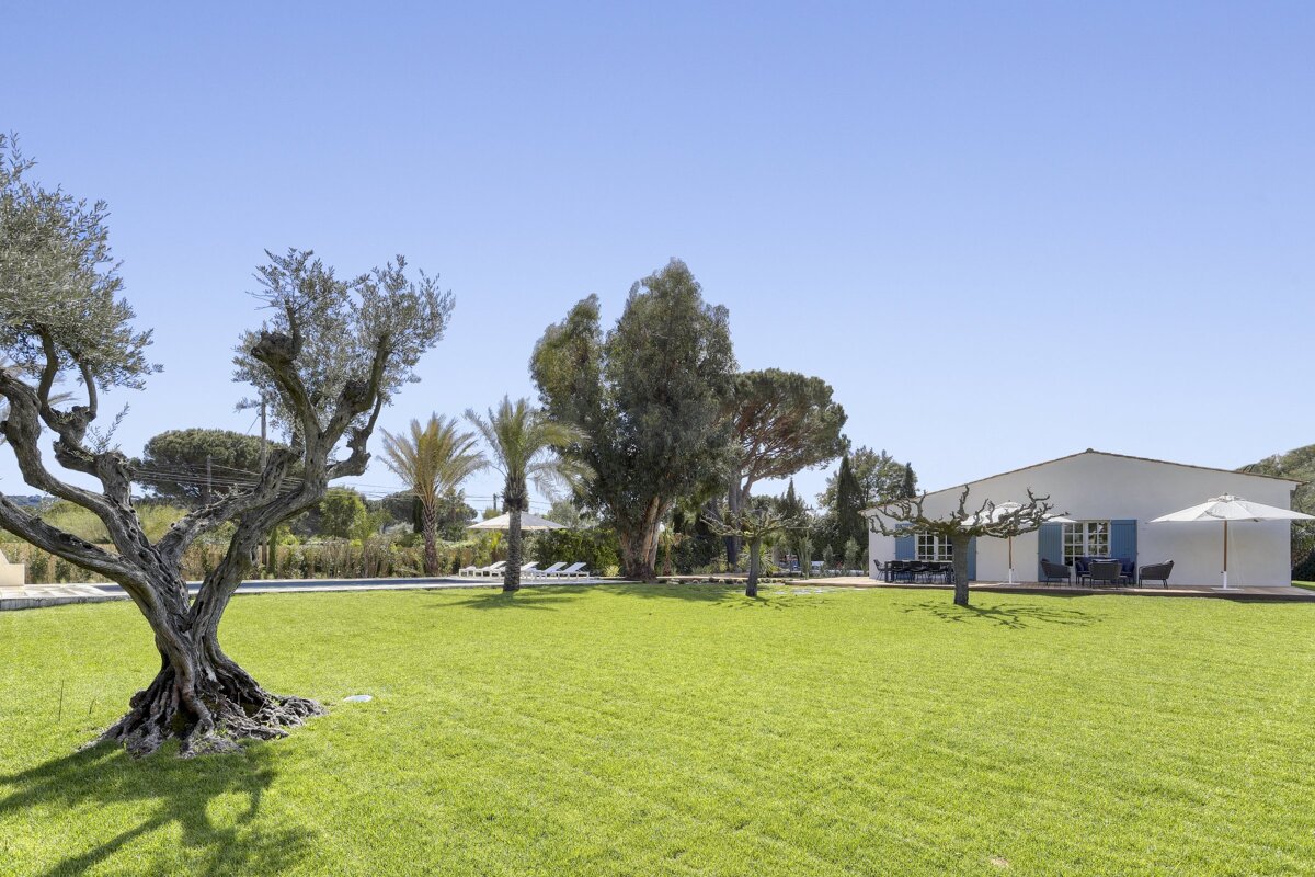 A white house with blue shutters sits in the middle of a lush green field