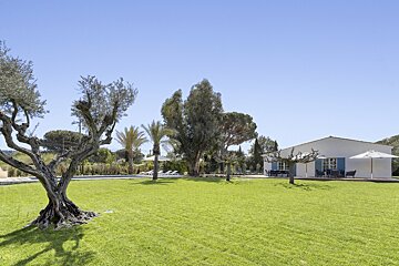 A white house with blue shutters sits in the middle of a lush green field