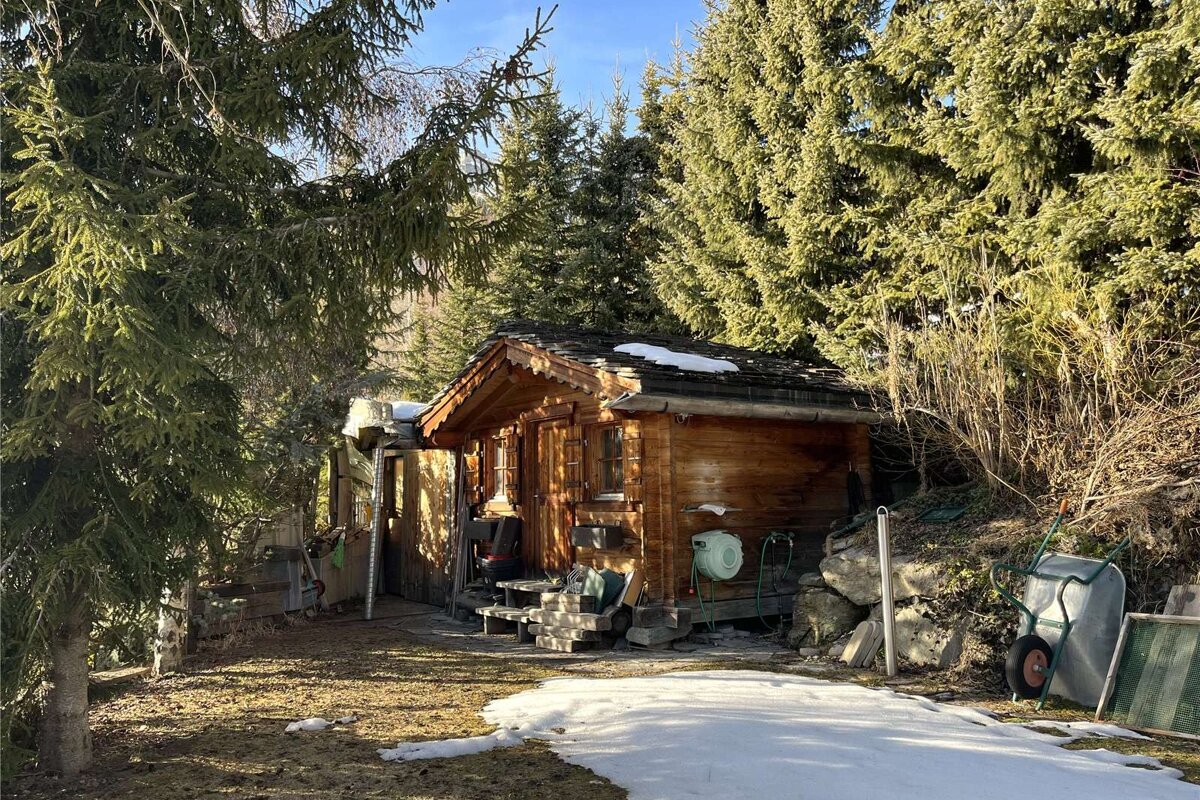 A small wooden cabin is surrounded by snow and trees