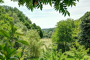 A lush green forest with hay bales in the distance