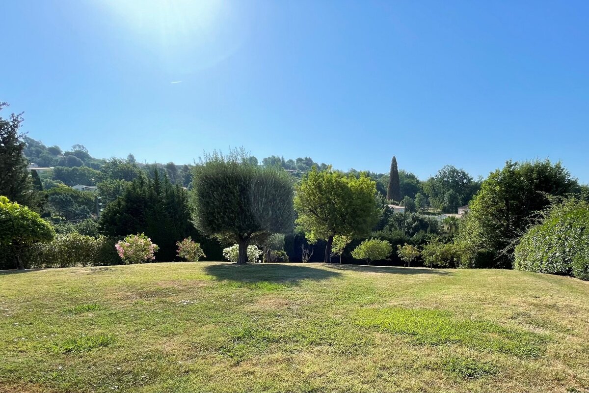 A lush green field with trees and bushes on a sunny day