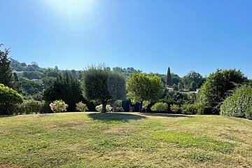 A lush green field with trees and bushes on a sunny day