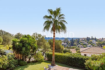 A palm tree is in front of a house that says home sud