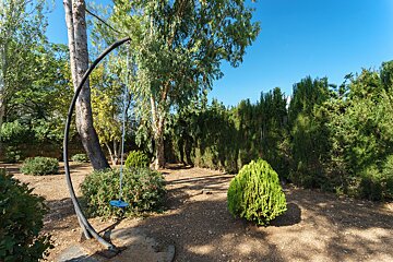 A swing is hanging from a tree in a park
